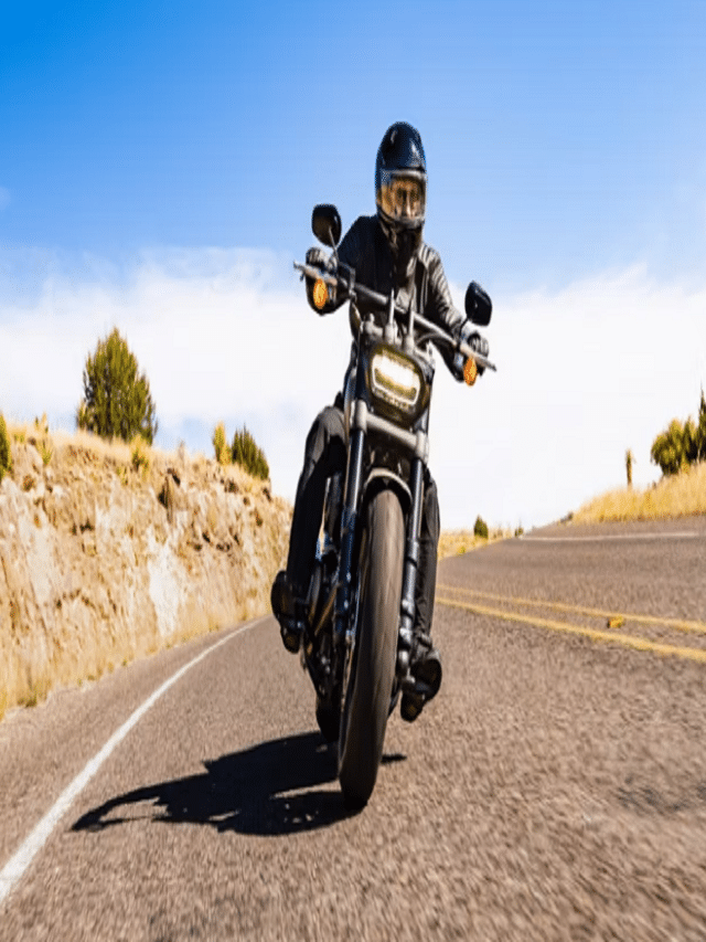 Conheça Harley-Davidson Fat Bob 114 2023